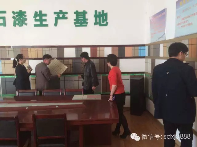 新佳真石漆考察團